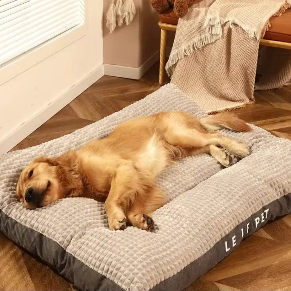 Golden retriever couché sur un coussin chien XXL gris ultra-confortable