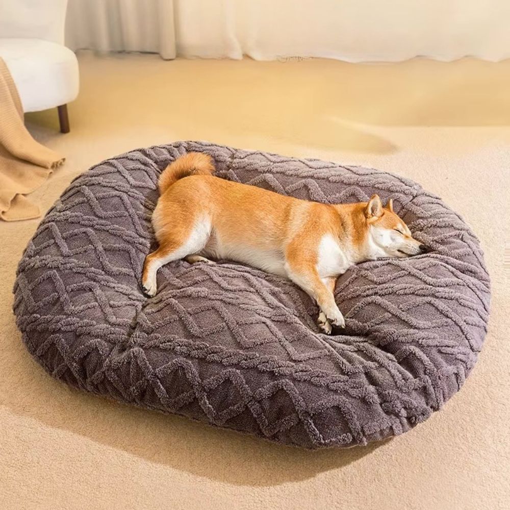 Coussin déhoussable pour chien apaisant, shiba détendu aprÚs une promenade