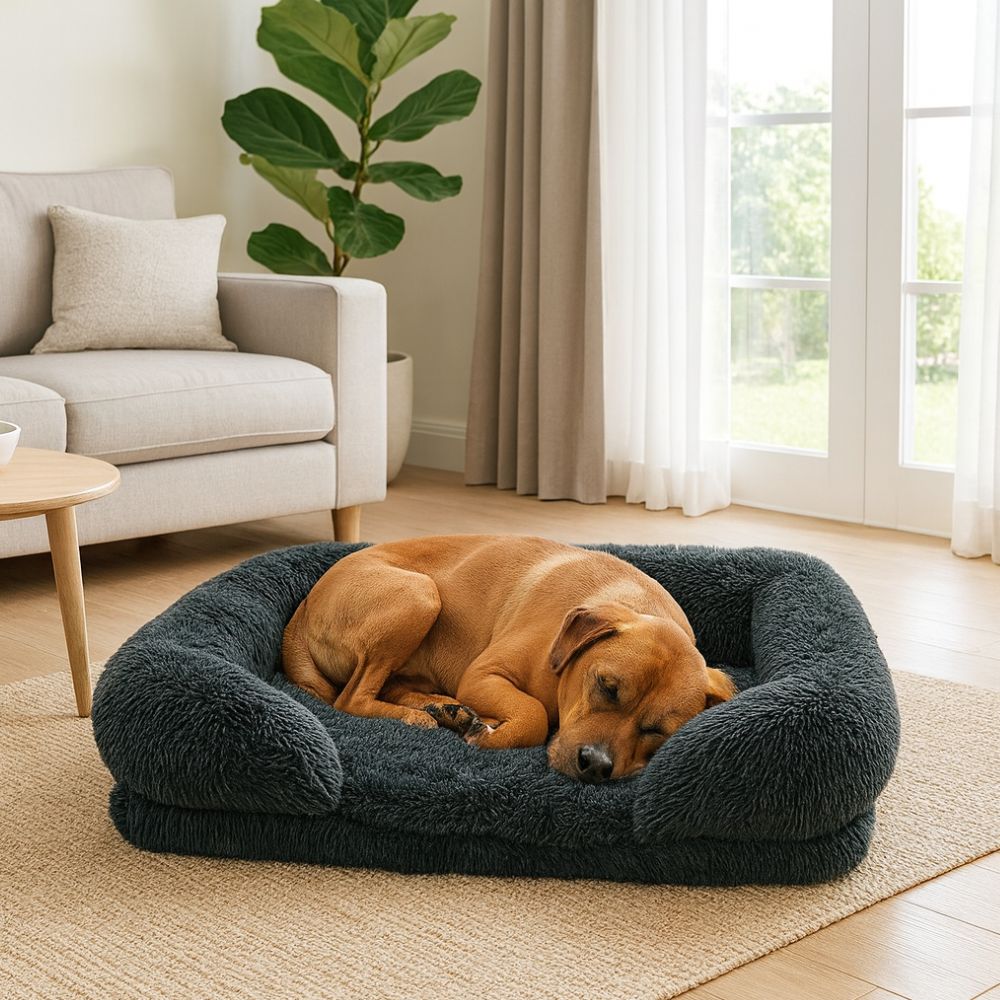 Élégant coussin orthopédique chien style canapé qui allie confort et décoration