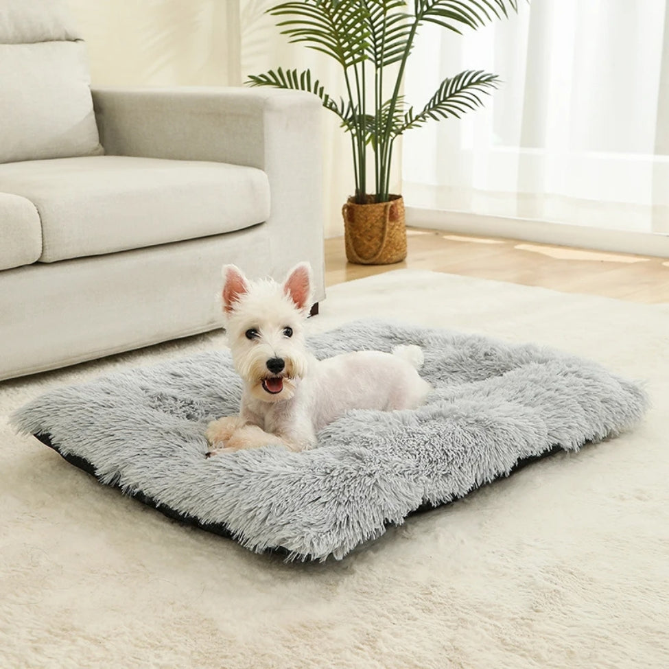coussin-pour-chien-confortable-douillet