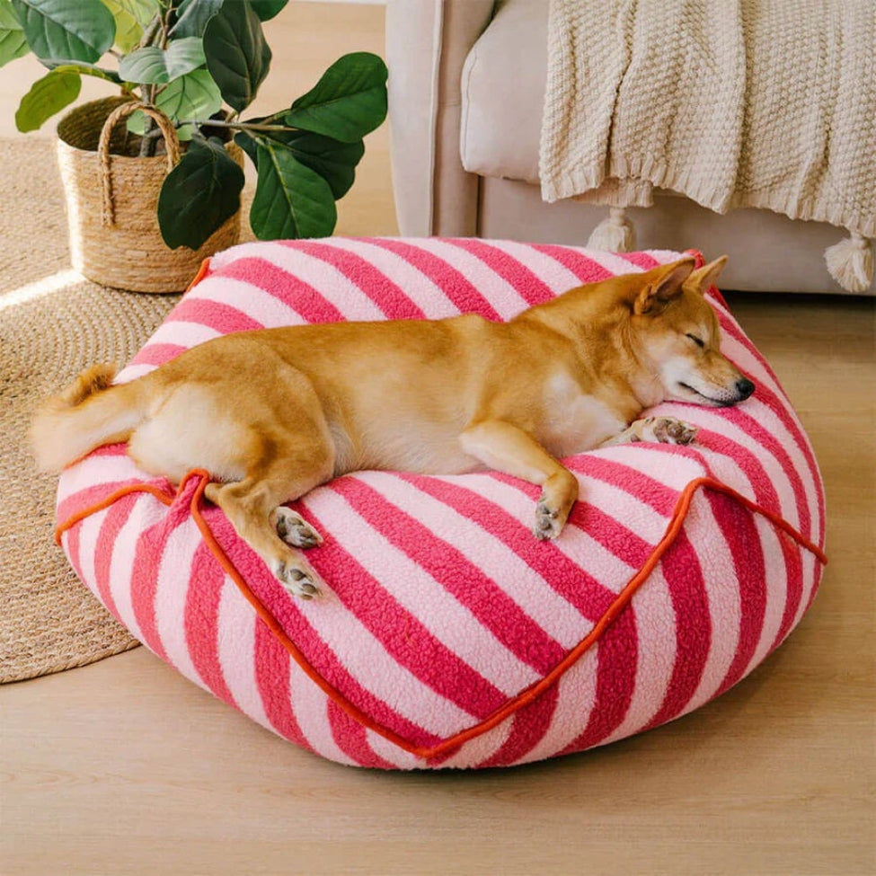 Shiba dort profondément sur un coussin pour chien déhoussable à rayures roses