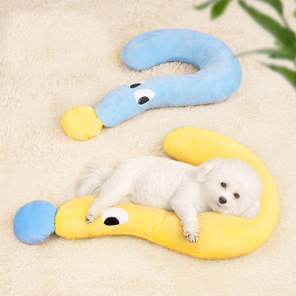 Coussin pour chien ergonomique offrant confort et soutien adapté au bichon