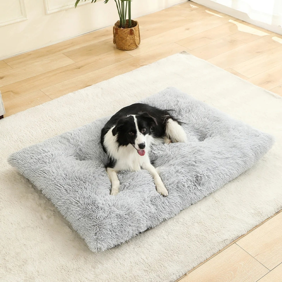 coussin-pour-chien-gris-clair-atlas