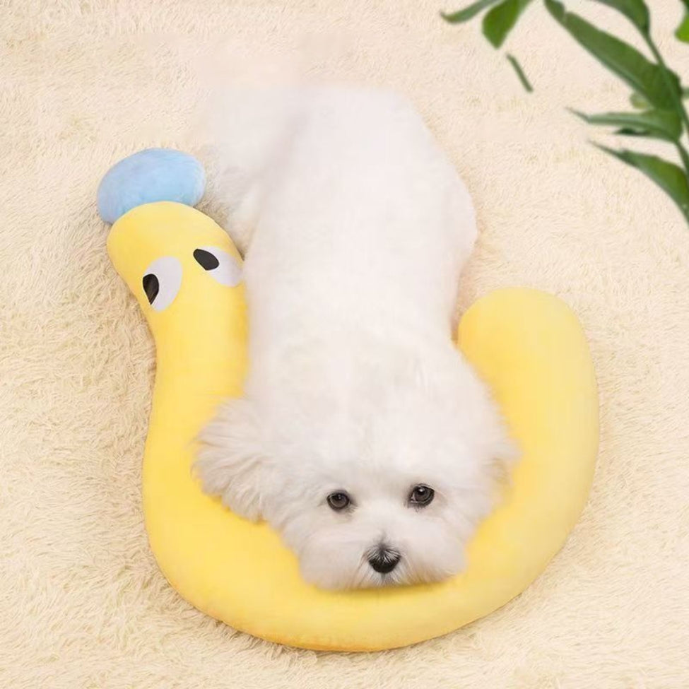 Bichon reposant confortablement sur un coussin pour chien qui protĂšge la nuque