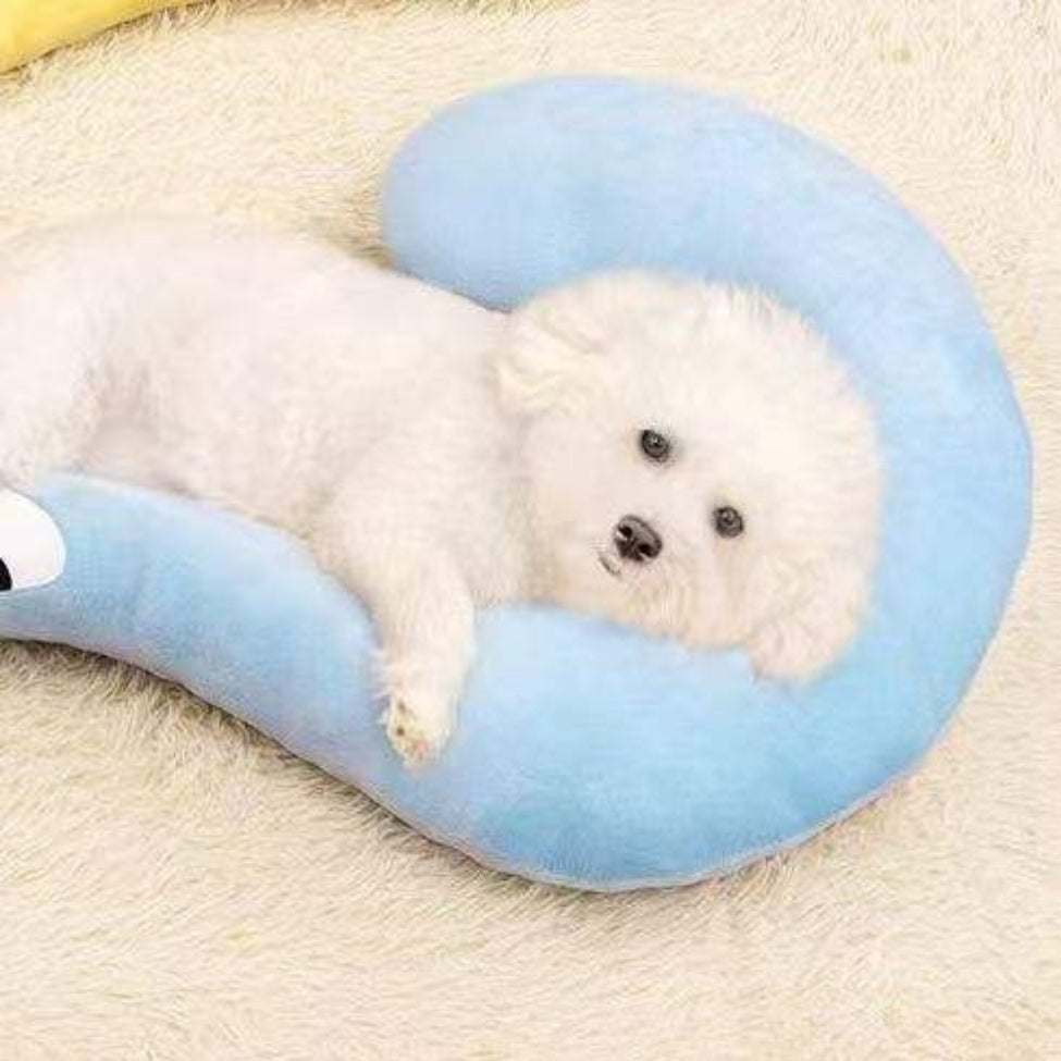 Coussin pour chien avec soutien cervical idéal pour le confort du bichon