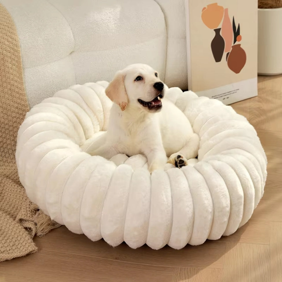 Golden retriever couché sur des coussins pour chien blancs et raffinés