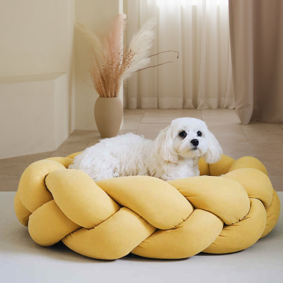 Petit bichon profite de coussins pour chien confortables et doux au toucher