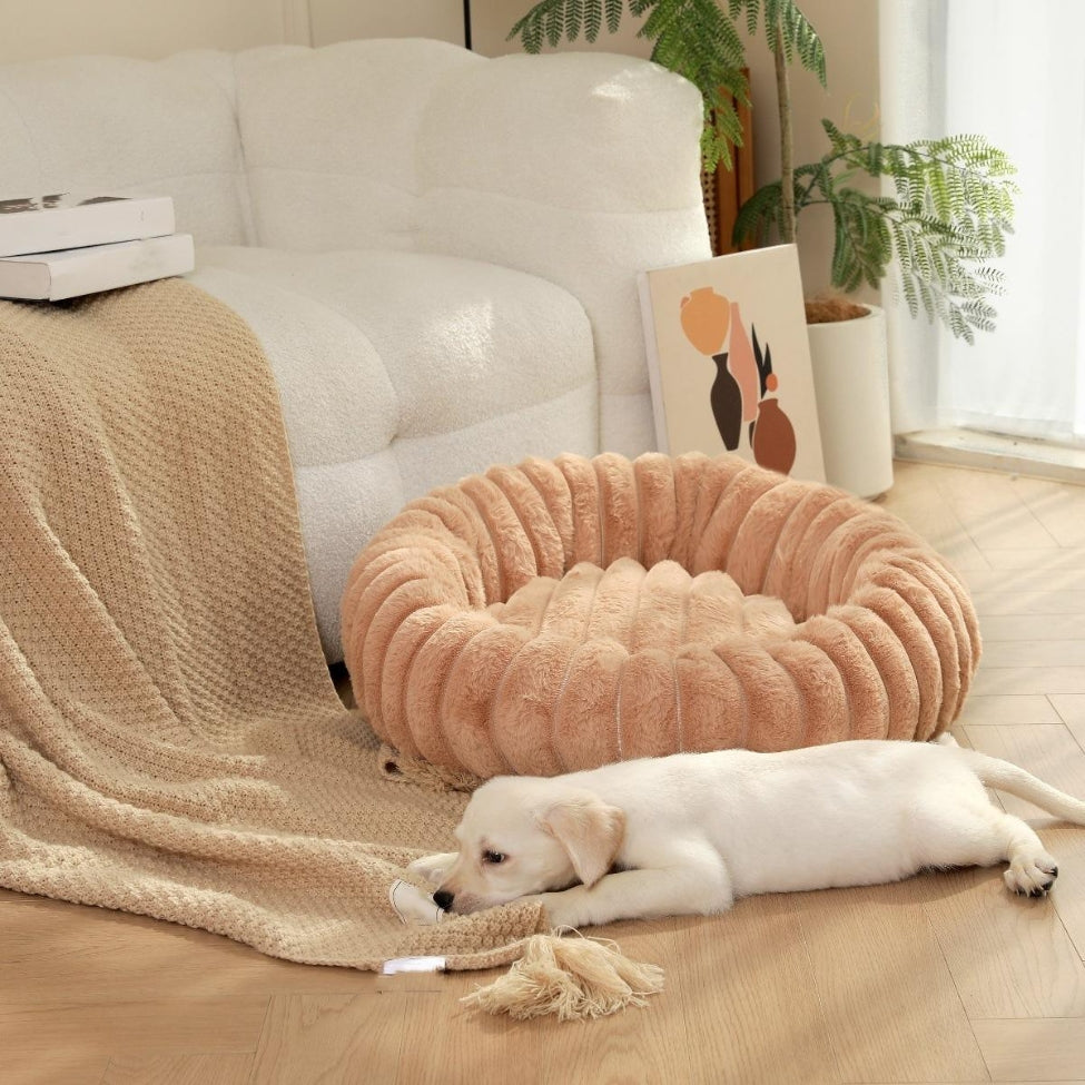 coussins-pour-chien-confort-hygienique-doggy-pouf