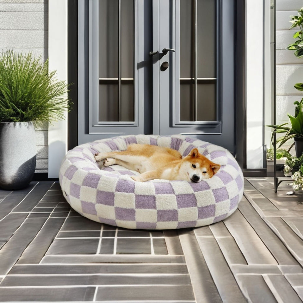Shiba est allongé sur l'un des coussins pour chien de style moderne