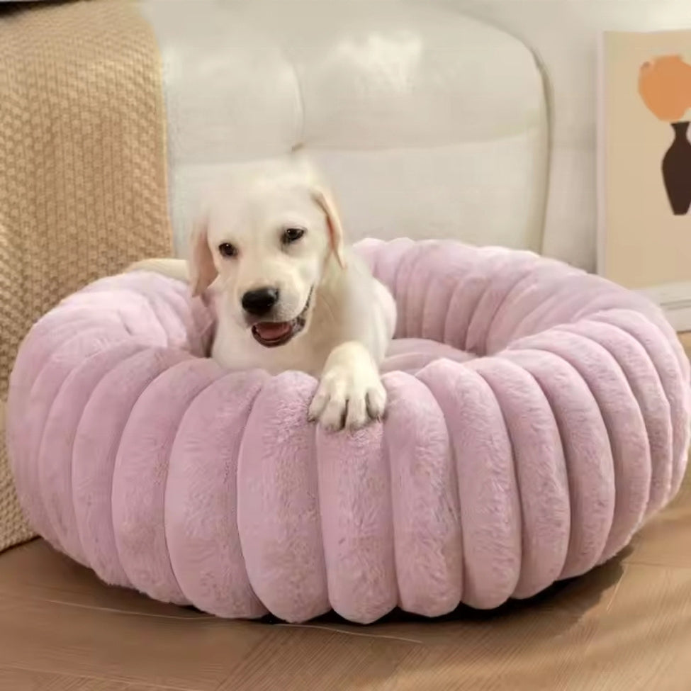 Golden retriever assis sur des coussins pour chien doux et moelleux