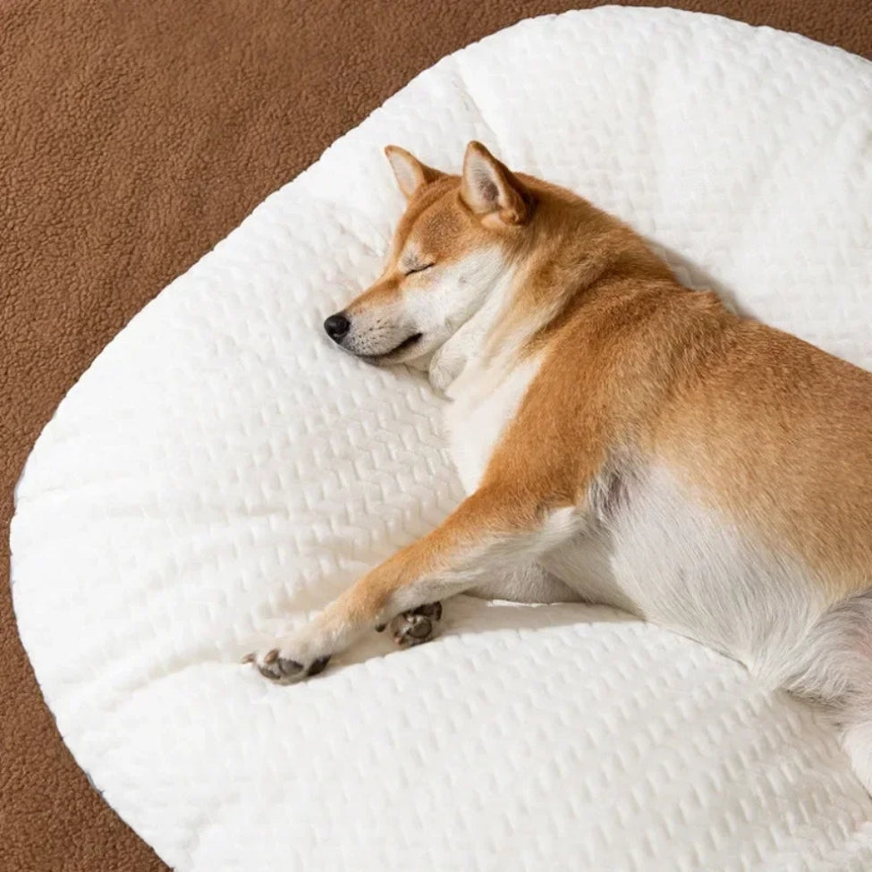 Shiba profondément endormi sur des coussins pour chien moelleux offrant confort et chaleur