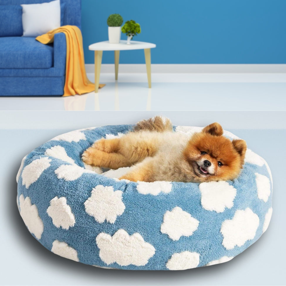 Coussins pour chien moelleux, spitz nain installé confortablement dessus
