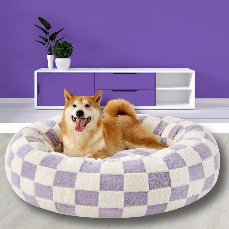 Coussins pour chien avec motif de damier, shiba confortablement installé
