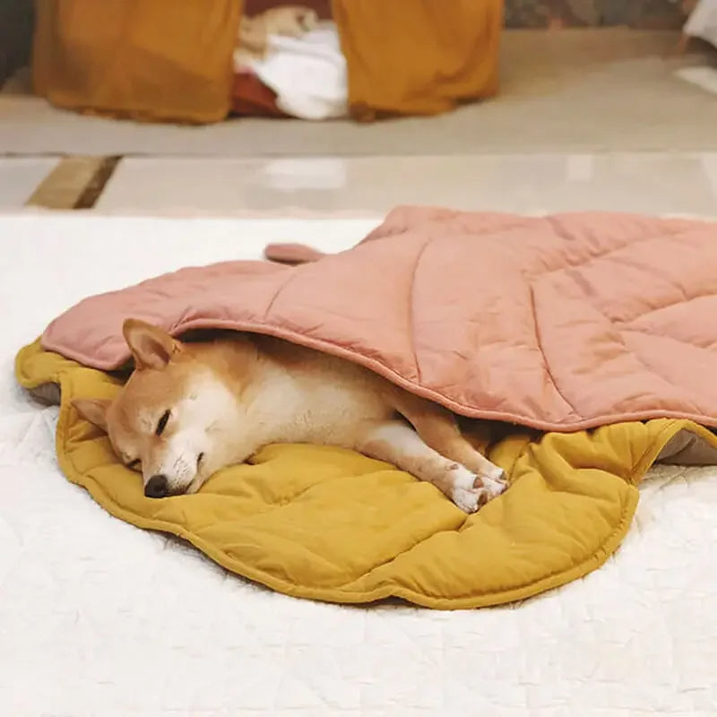 Un tapis chien polyvalent qui sert de couverture pour le shiba endormi