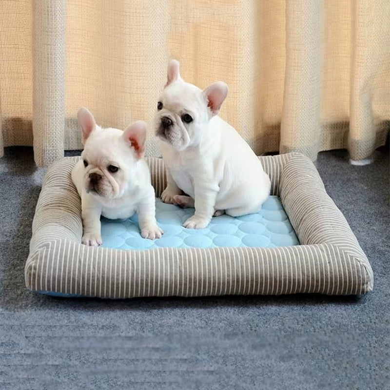 Deux bouledogues assis sur un tapis rafraichissant chien efficace contre la chaleur