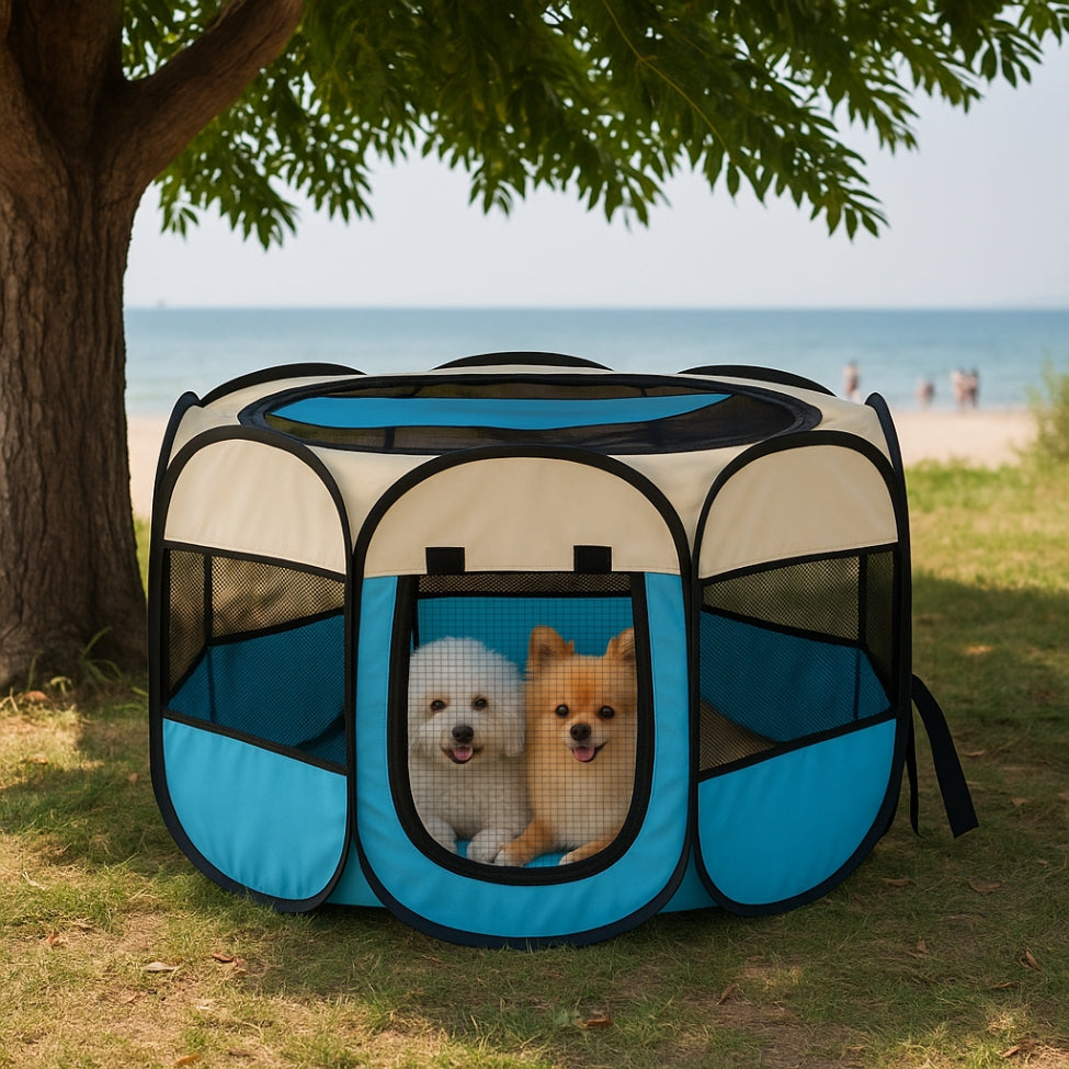 Deux chiots en vacances Ă la plage dans la niche pour chien XXL