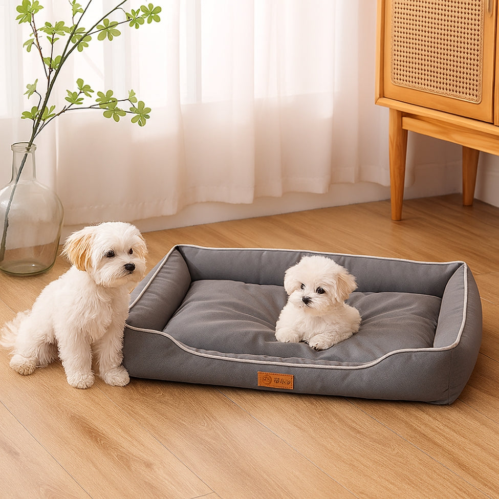 Chiot confortablement installé dans lit pour chien, sa maman veille à cÎté