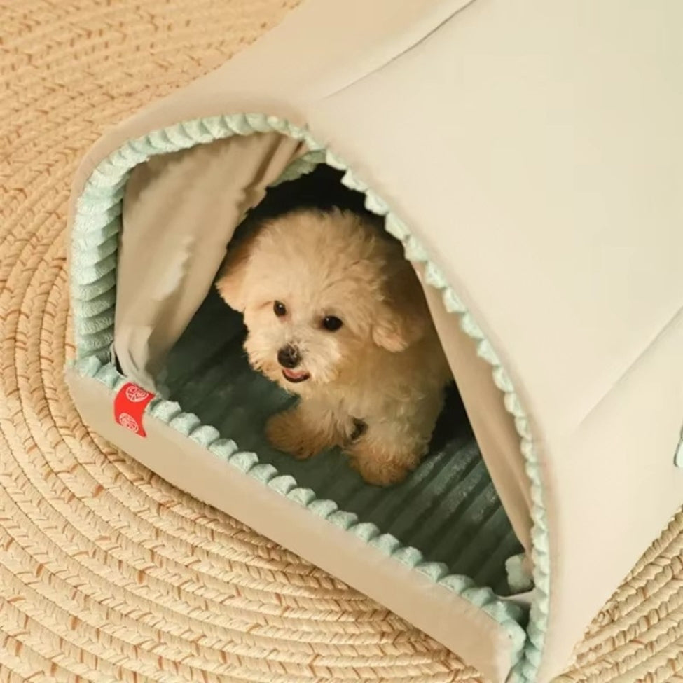 Entrée de la niche pour chien intérieur avec un bichon