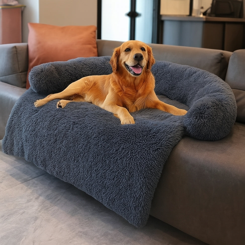 golden allongé sur son lit canape pour chien, dans le salon