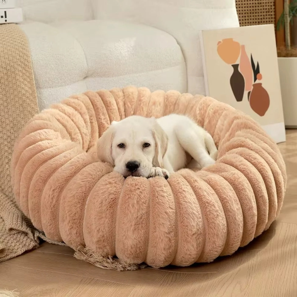 Golden retriever repose paisiblement sur des coussins pour chien apaisants