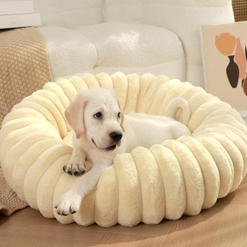 Golden retriever profite d’un espace de repos avec des coussins pour chien cosy
