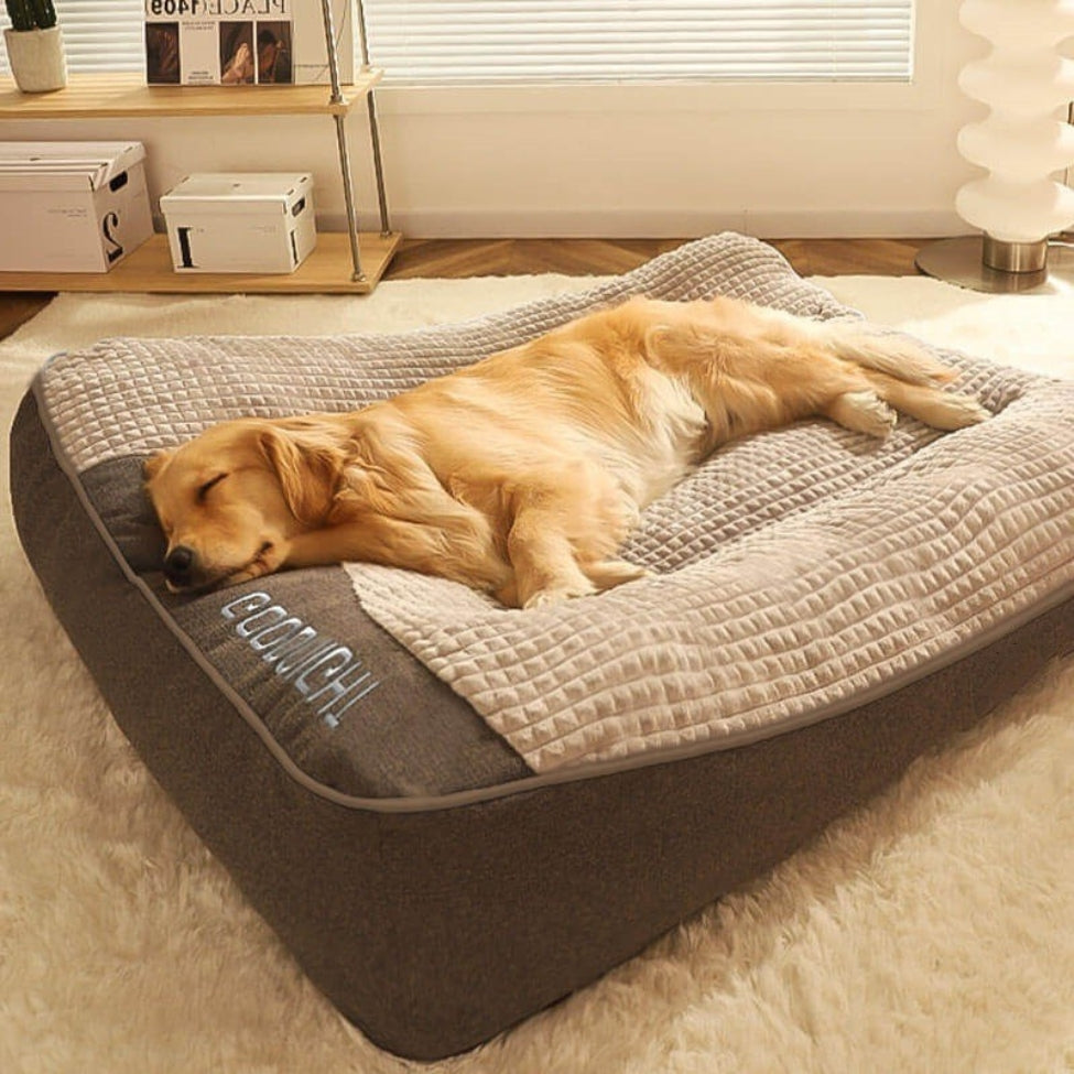 chien est en train de dormir paisiblement sur son lit chien