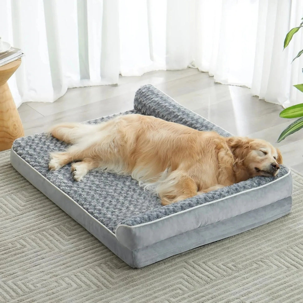 golden dort, tete posee sur le bord du lit pour chien orthopedique