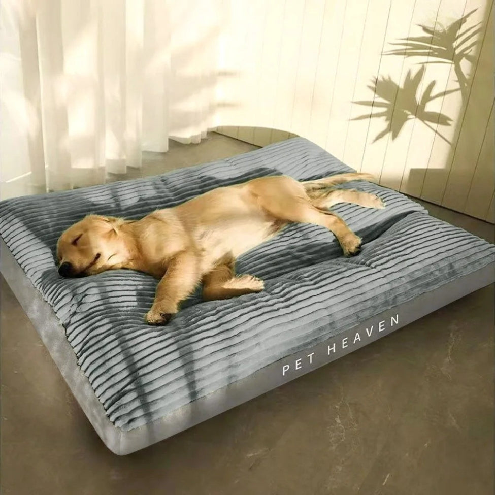 golden-dort-profondement-sur-coussin-pour-chien-gris