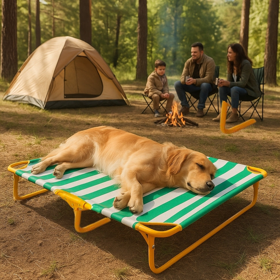 Golden dort sur lit de camp pour chien, sa famille en arrière-plan dans la forêt