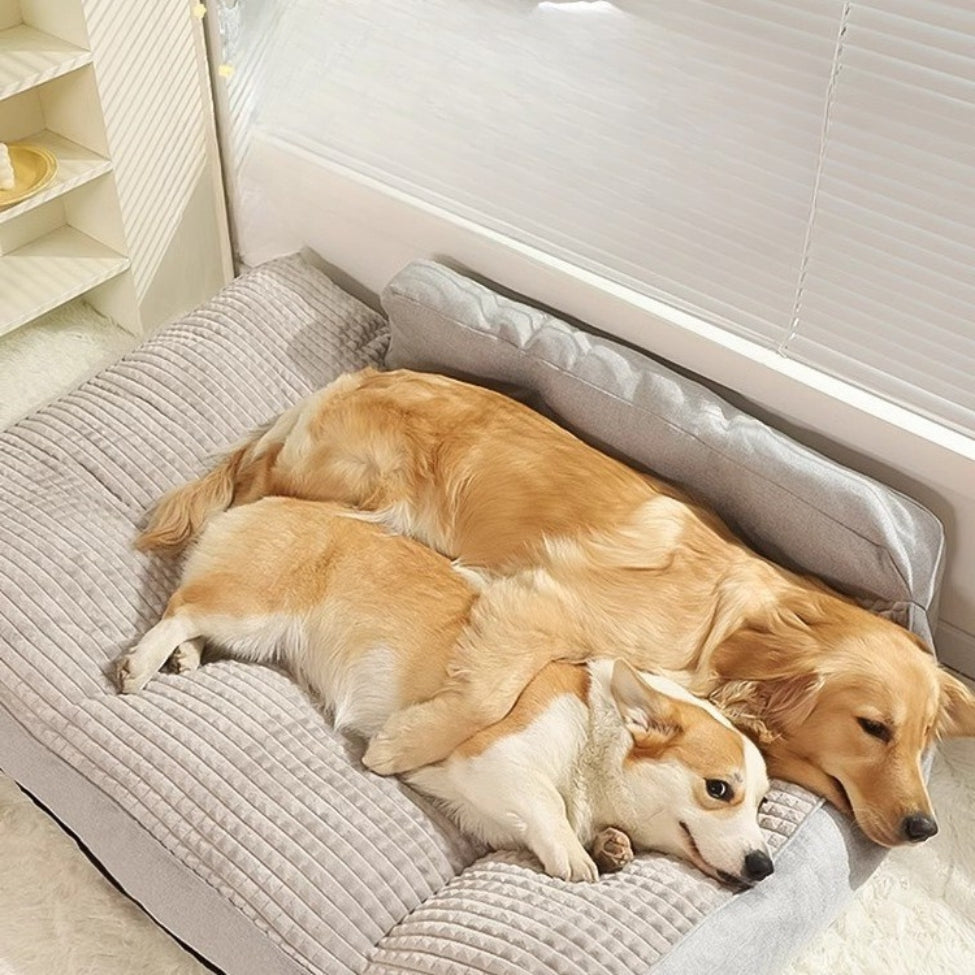 golden et corgi enlacés, se reposent confortablement sur un grand lit chien