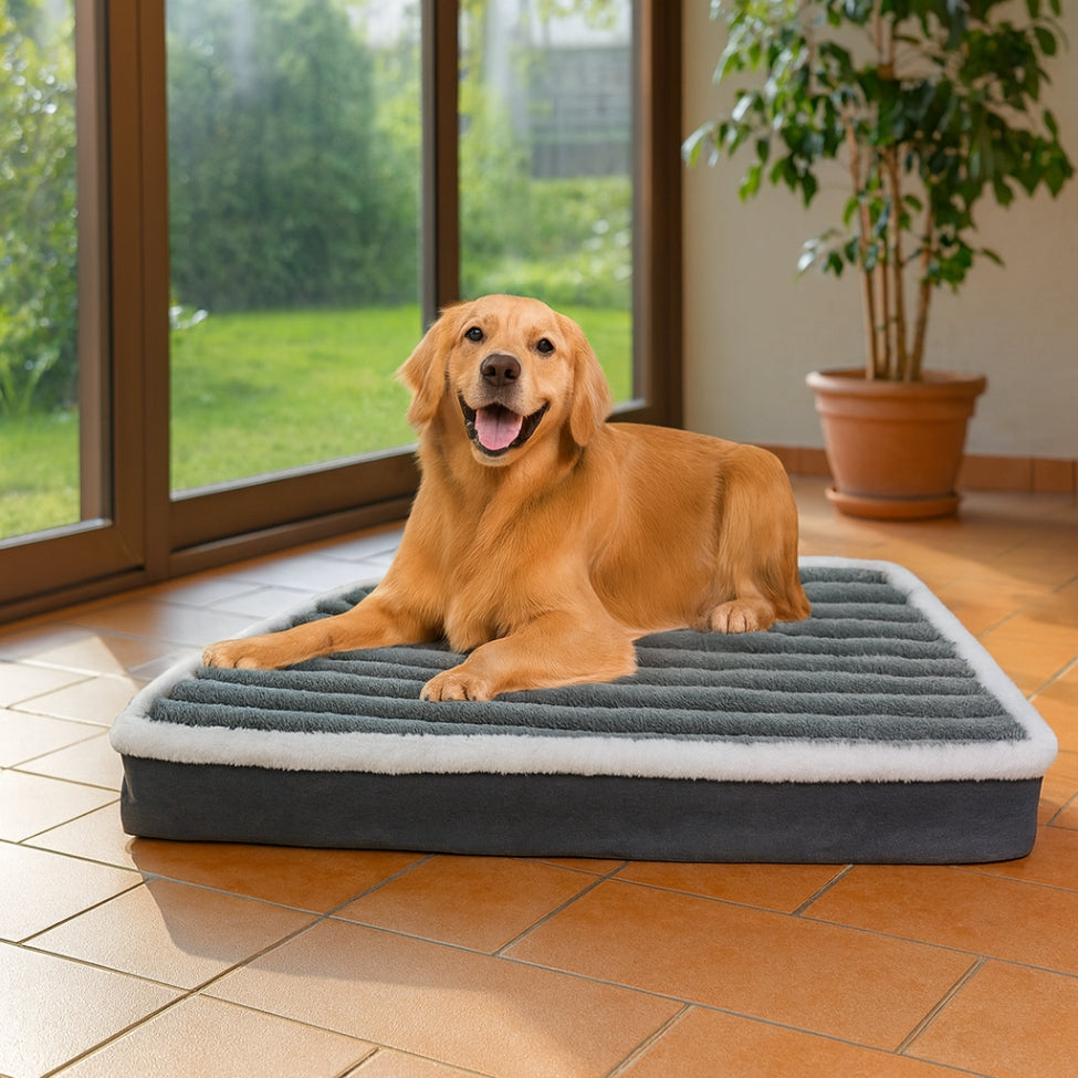 golden profite de matelas orthopédique chien confortable