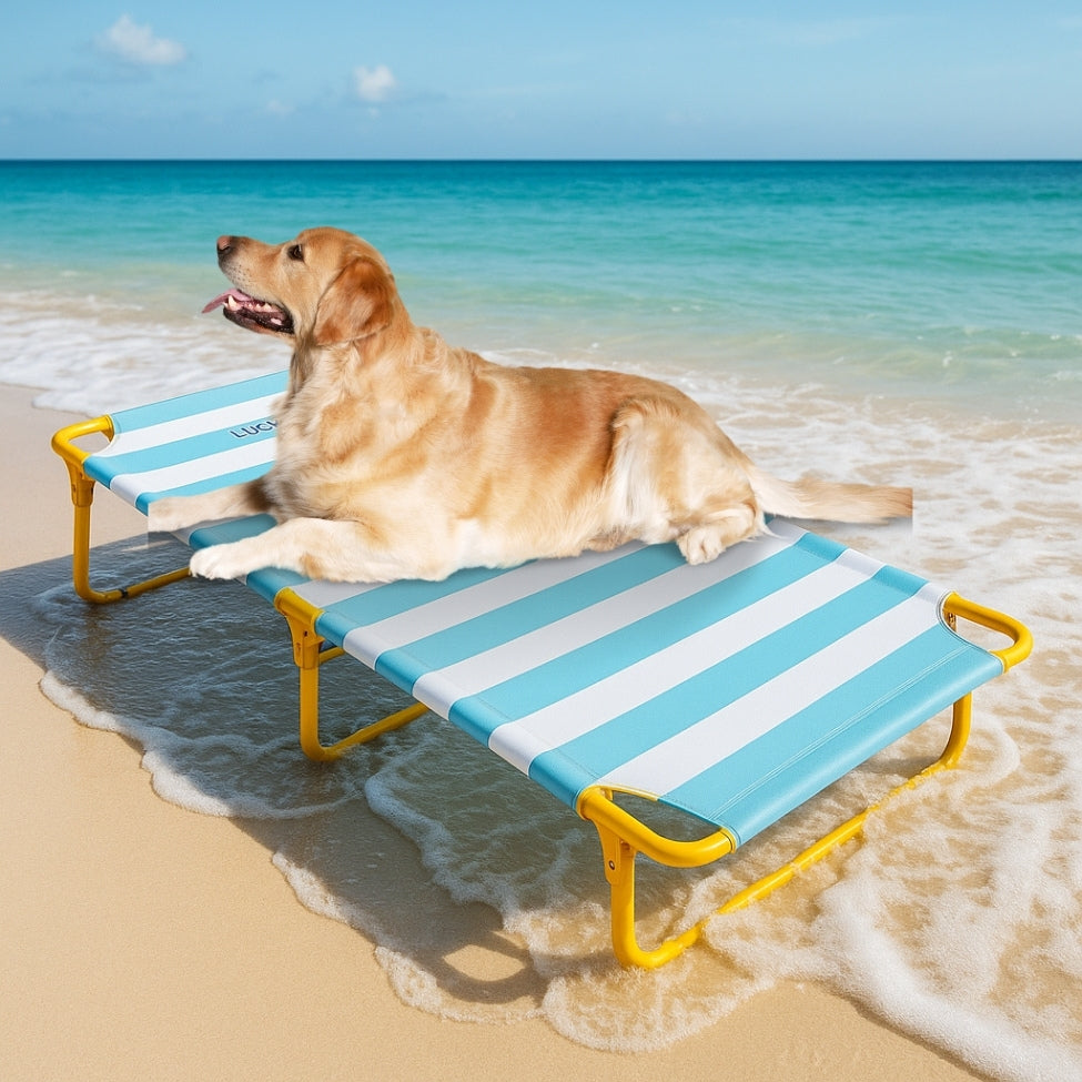 Golden allongĂ© sur un lit de camp pour chien au bord de lâocĂ©an
