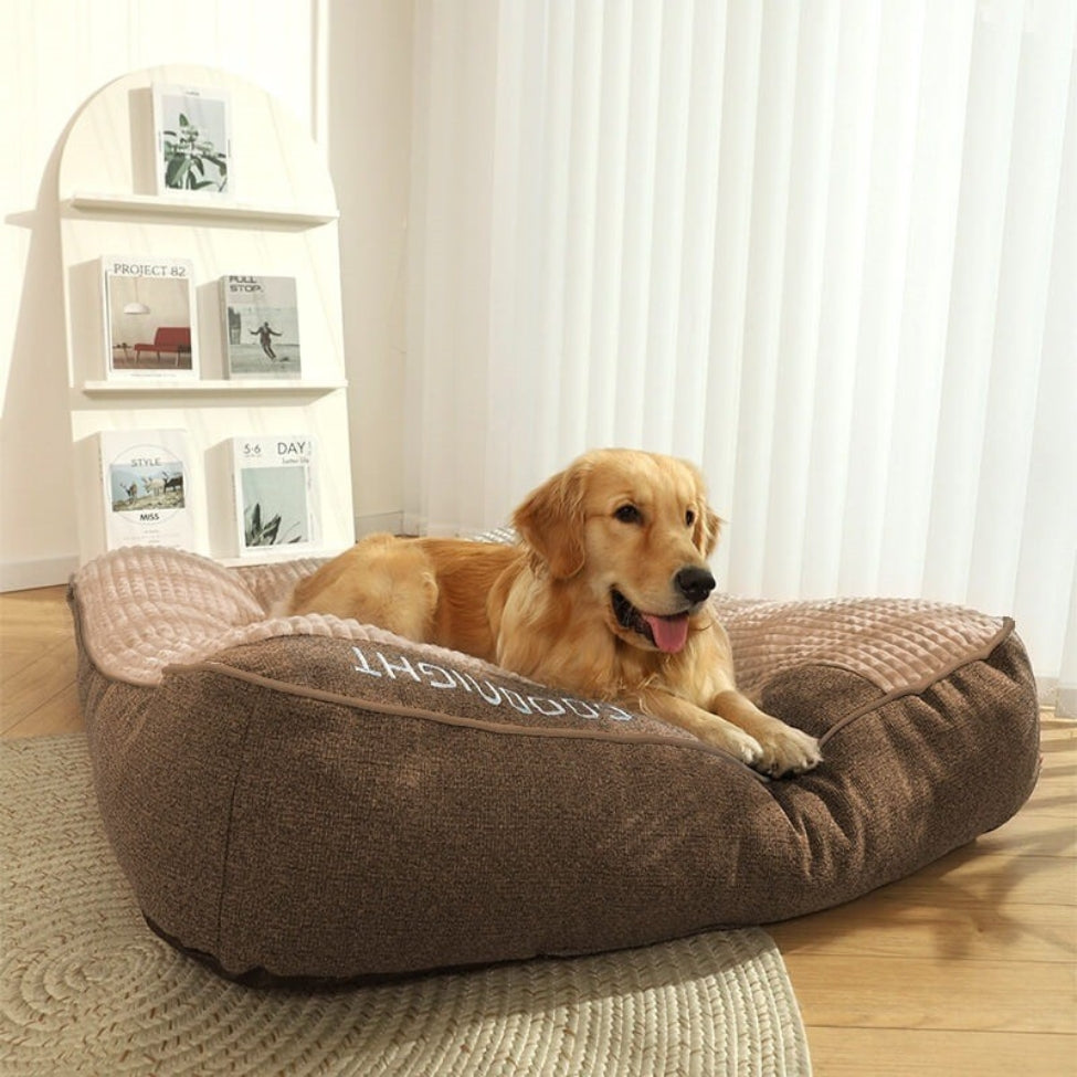 Golden allongé, repos confortable sur un lit chien, chambre cosy