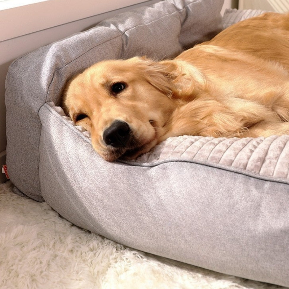 golden retriever soulage son cou sur le bord du grand lit chien epais