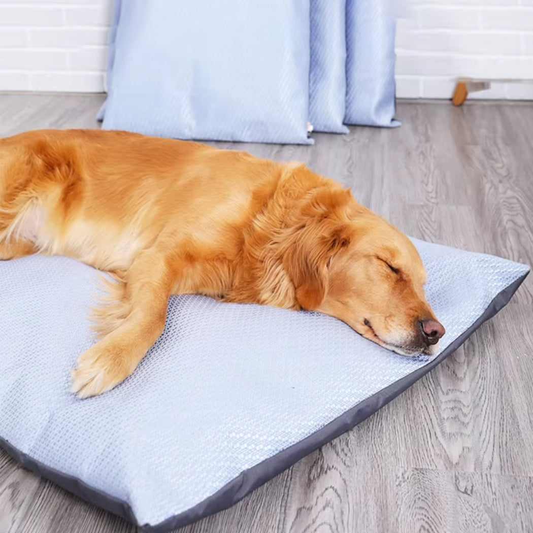 Golden retriever profitant d’un moment de détente sur un tapis rafraichissant chien