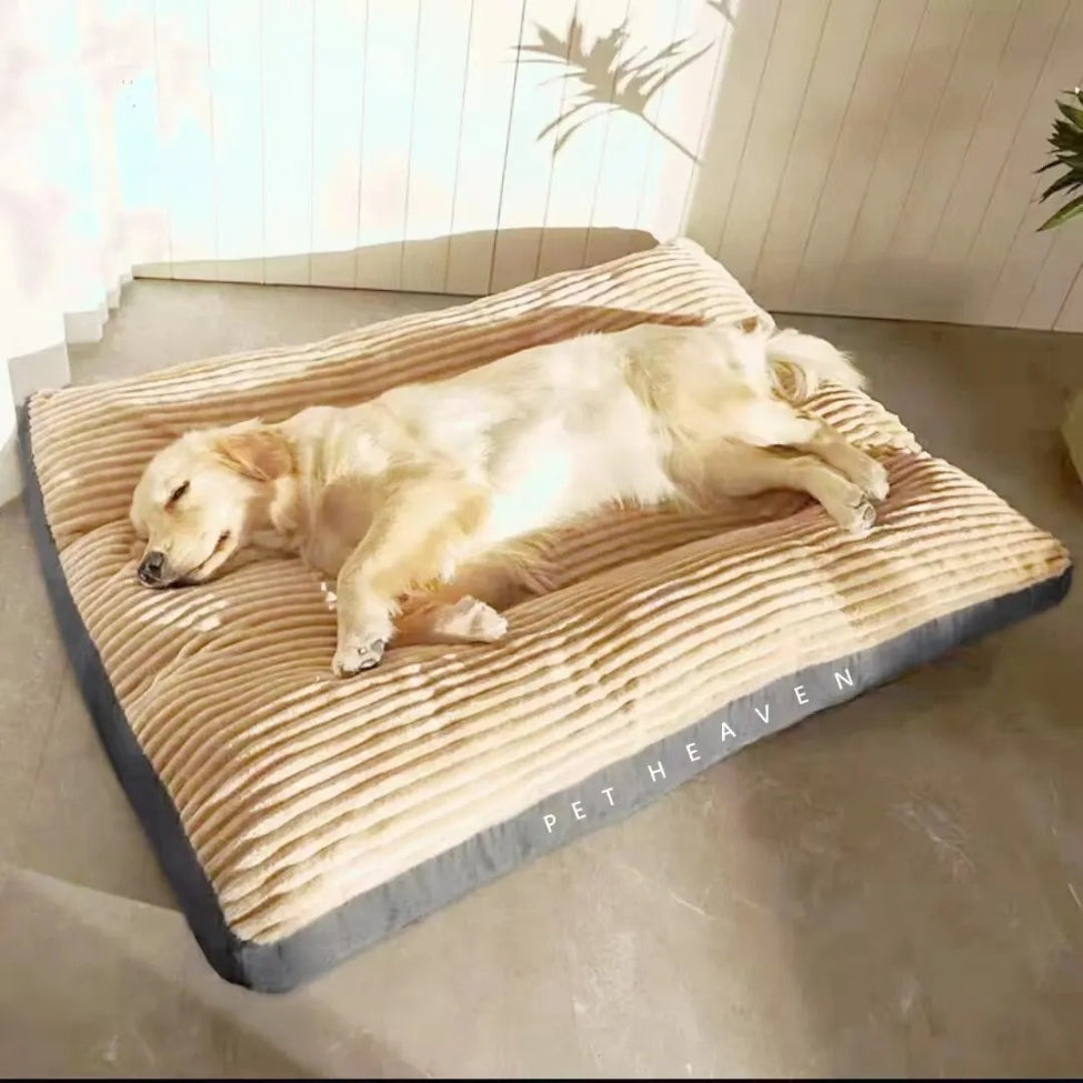 grand-toutou-dort-paisiblement-sur-coussin-pour-chien