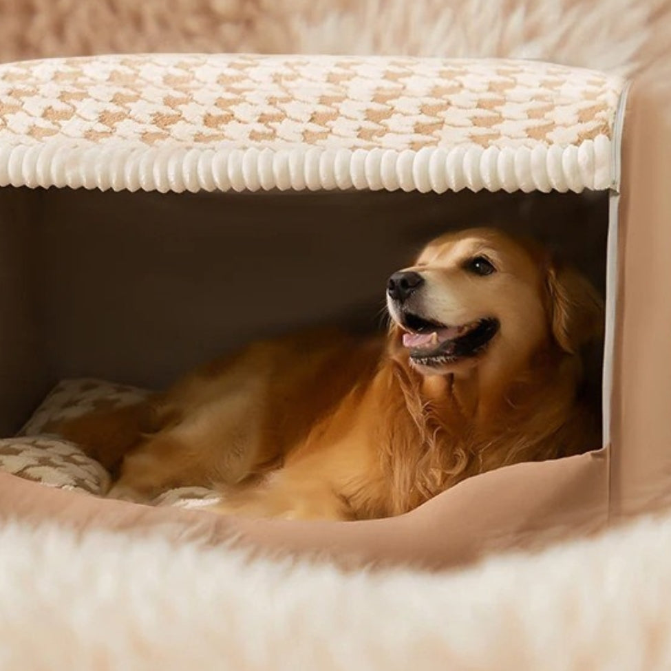 Gros-chien installé dans sa niche pour chien intérieur, observe attentivement
