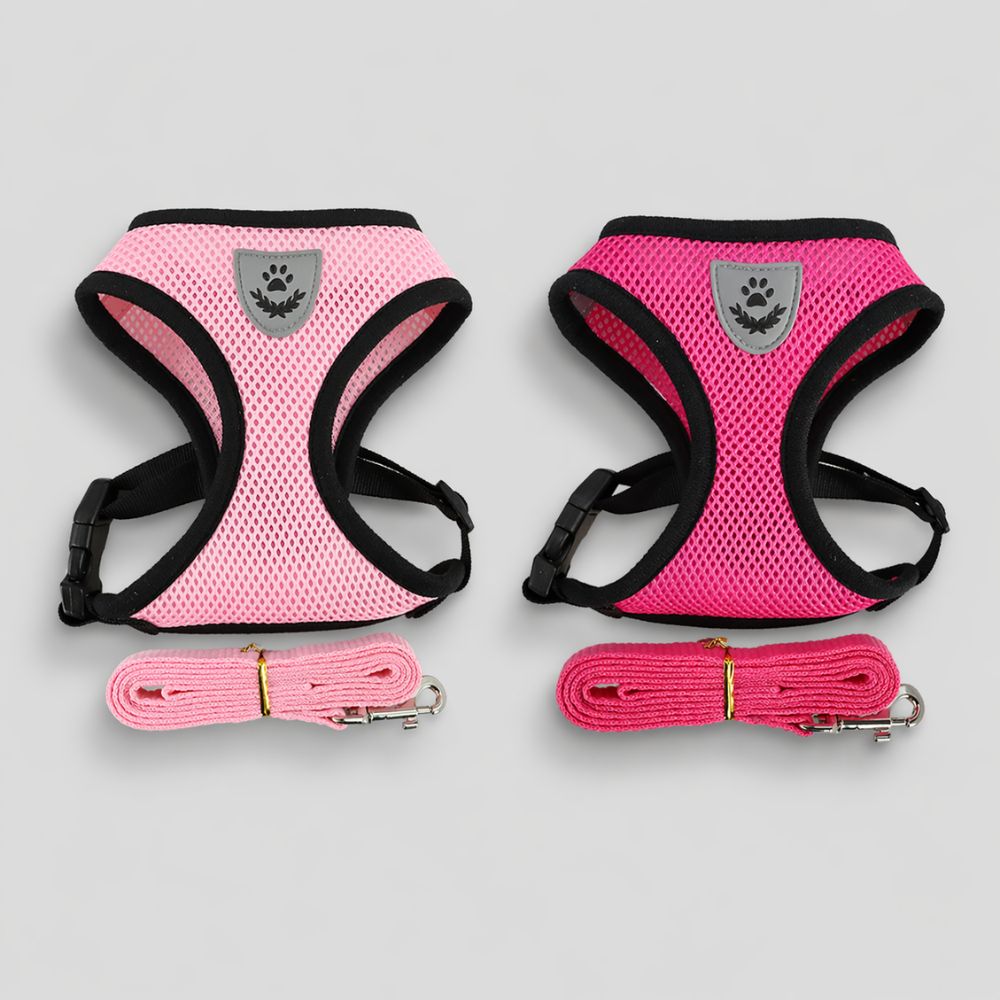 harnais chien rose présenté en deux nuances rose bonbon et rose fuchsia avec laisse assortie