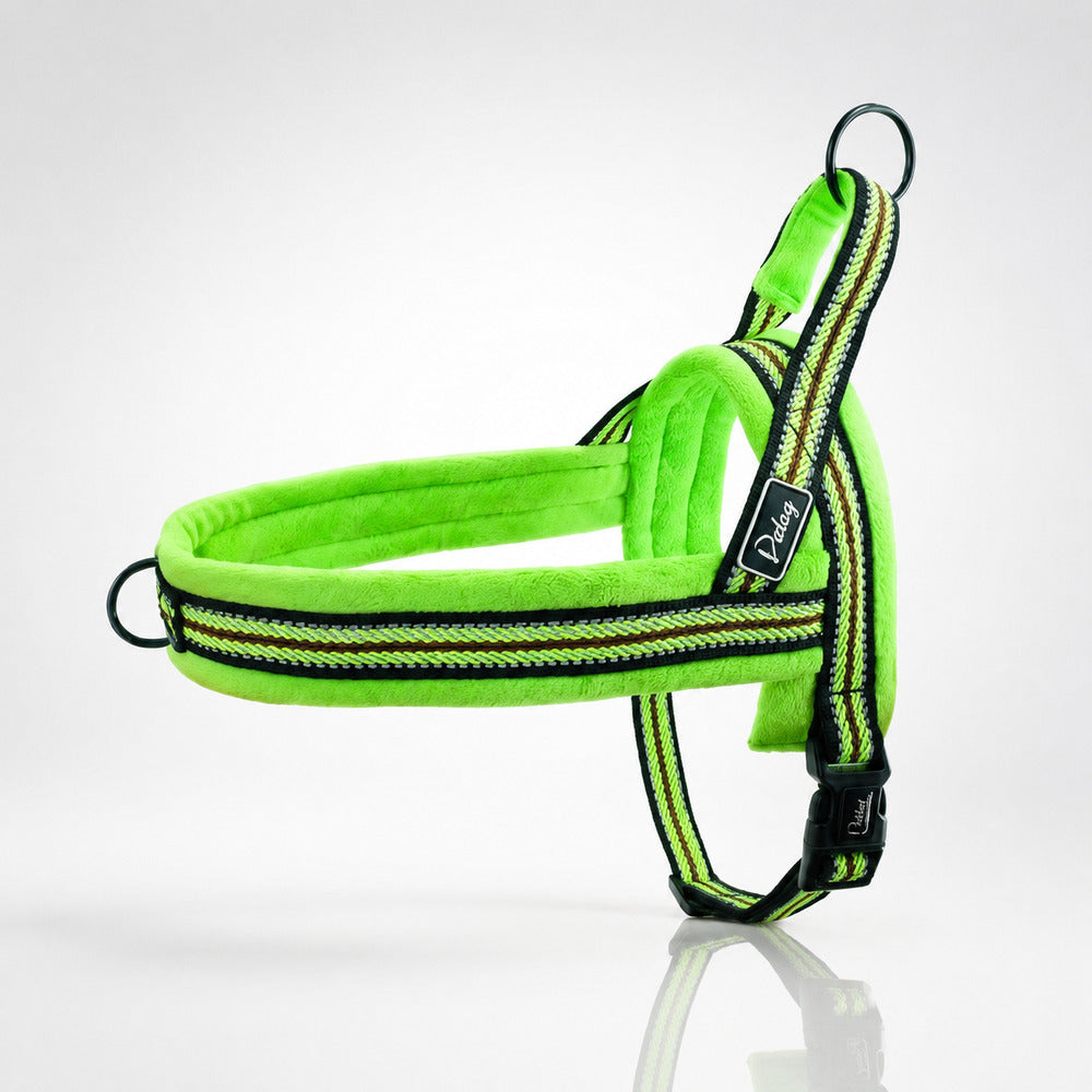 Harnais chiot Canidoux vert rembourré avec sangles rayées et boucle noire