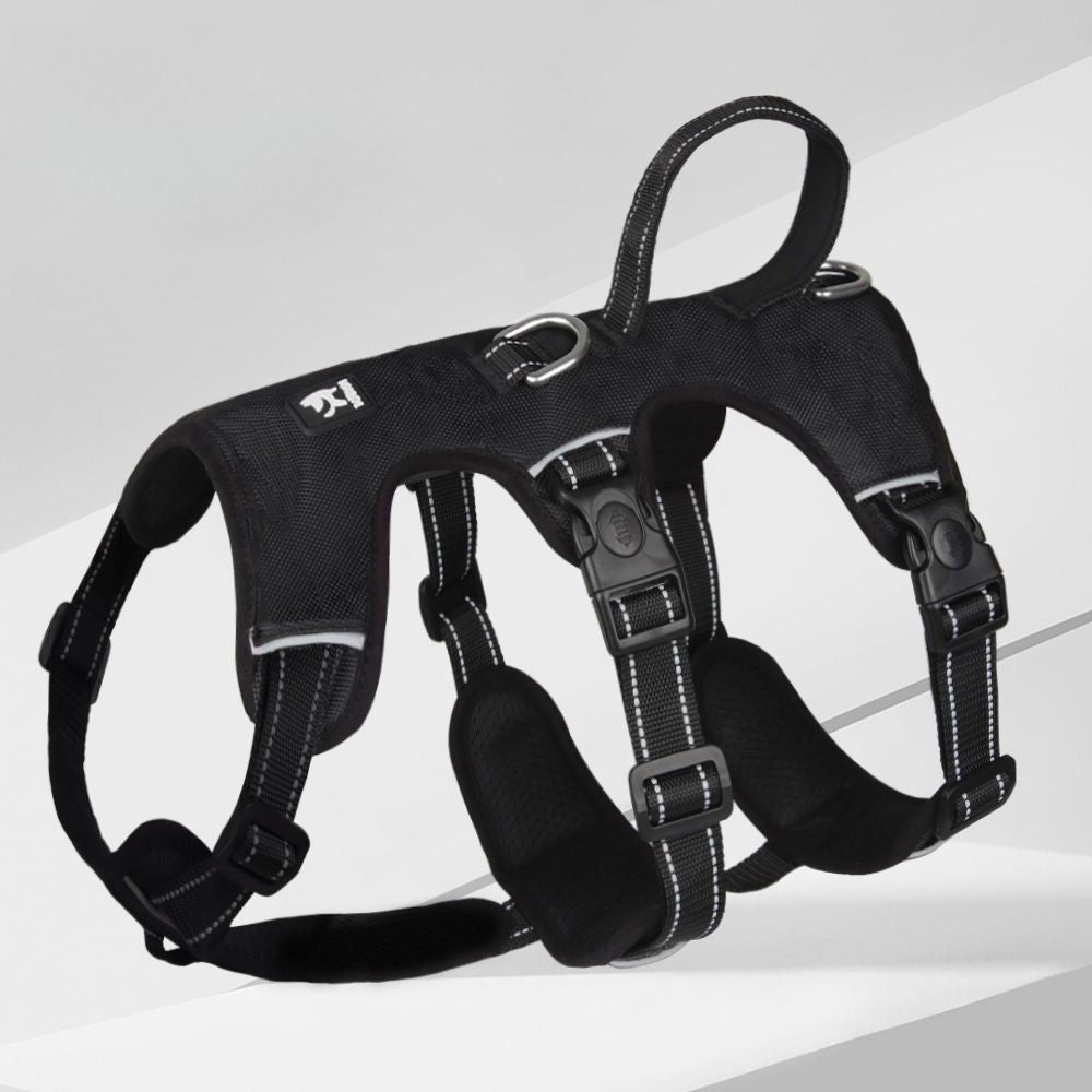Harnais pour chiens robuste de couleur noire avec structure renforcée et maintien optimal