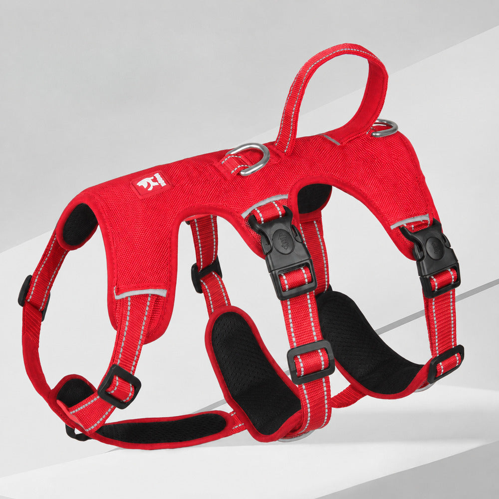 Harnais pour chiens rouge rembourré avec boucles noires réglables