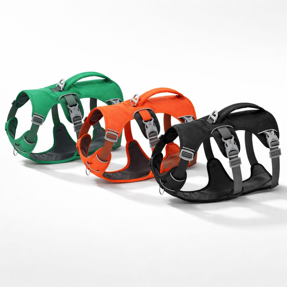 harnais voiture chien disponible en plusieurs couleurs vert orange et noir avec design ergonomique