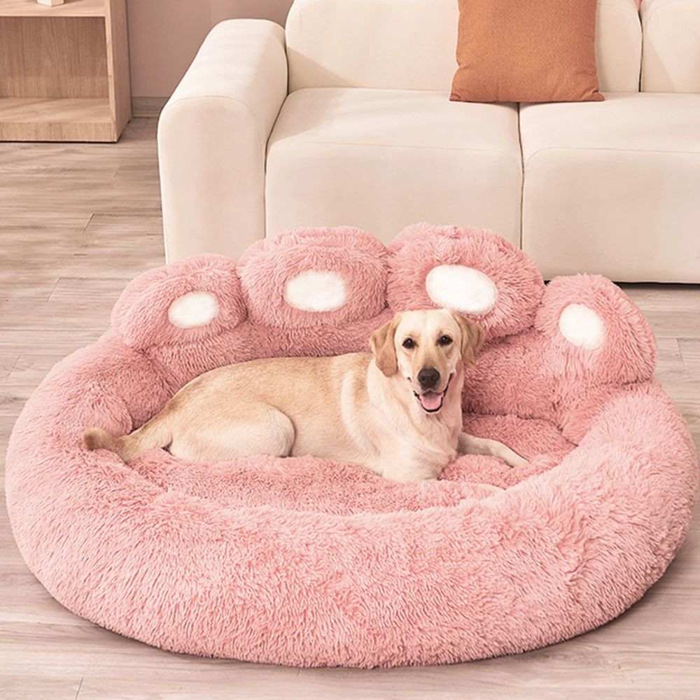 Labrador regard droit, installé dans un panier pour chien confortable