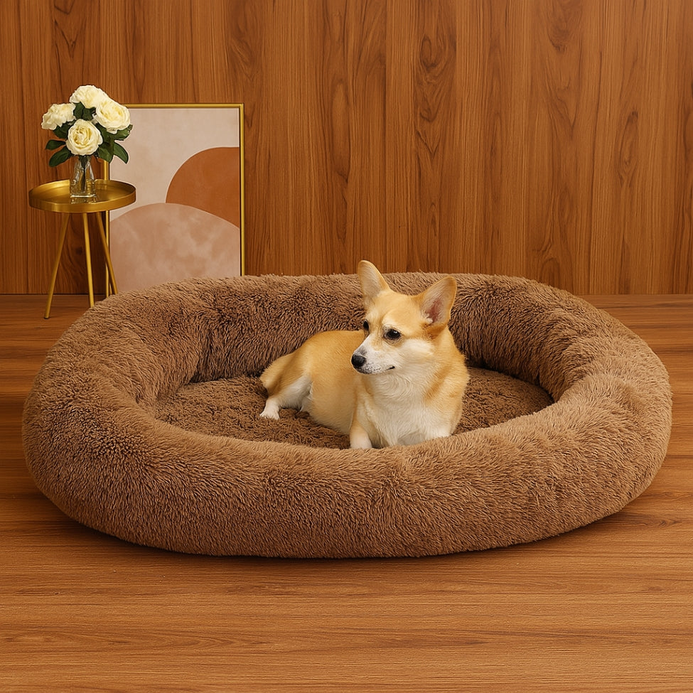 toutou installé dans lit chien de couleur caramel