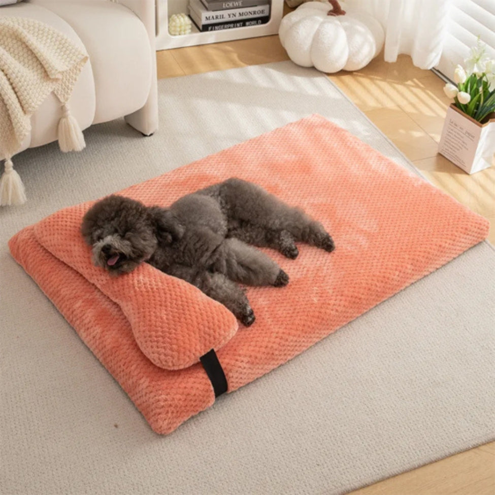 Caniche, tĂȘte posĂ©e sur un lit orthopĂ©dique chien avec coussin doux, soutien nuque