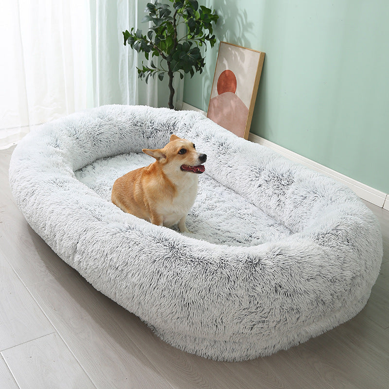 chien assis dans lit pour chien xxl spacieux et confortable