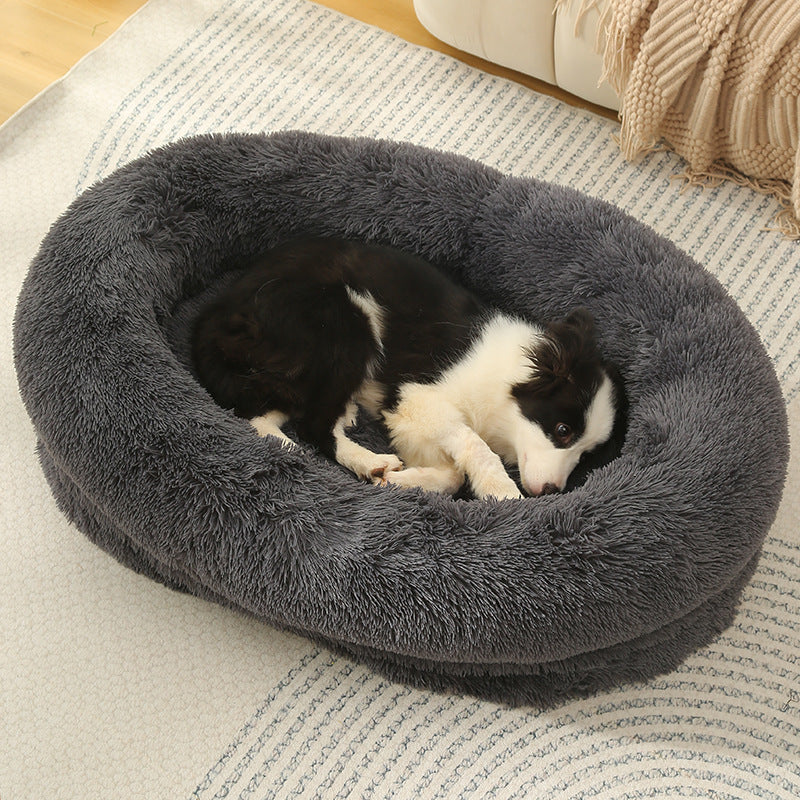 Border Collie blotti avec tendresse dans un lit pour chien XXL, antiâstress