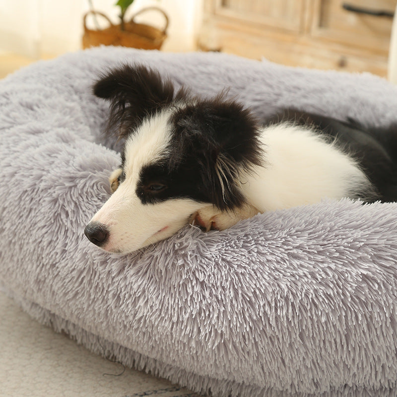 Border Collie endormi, tĂȘte posĂ©e sur un lit pour chien XXL doux