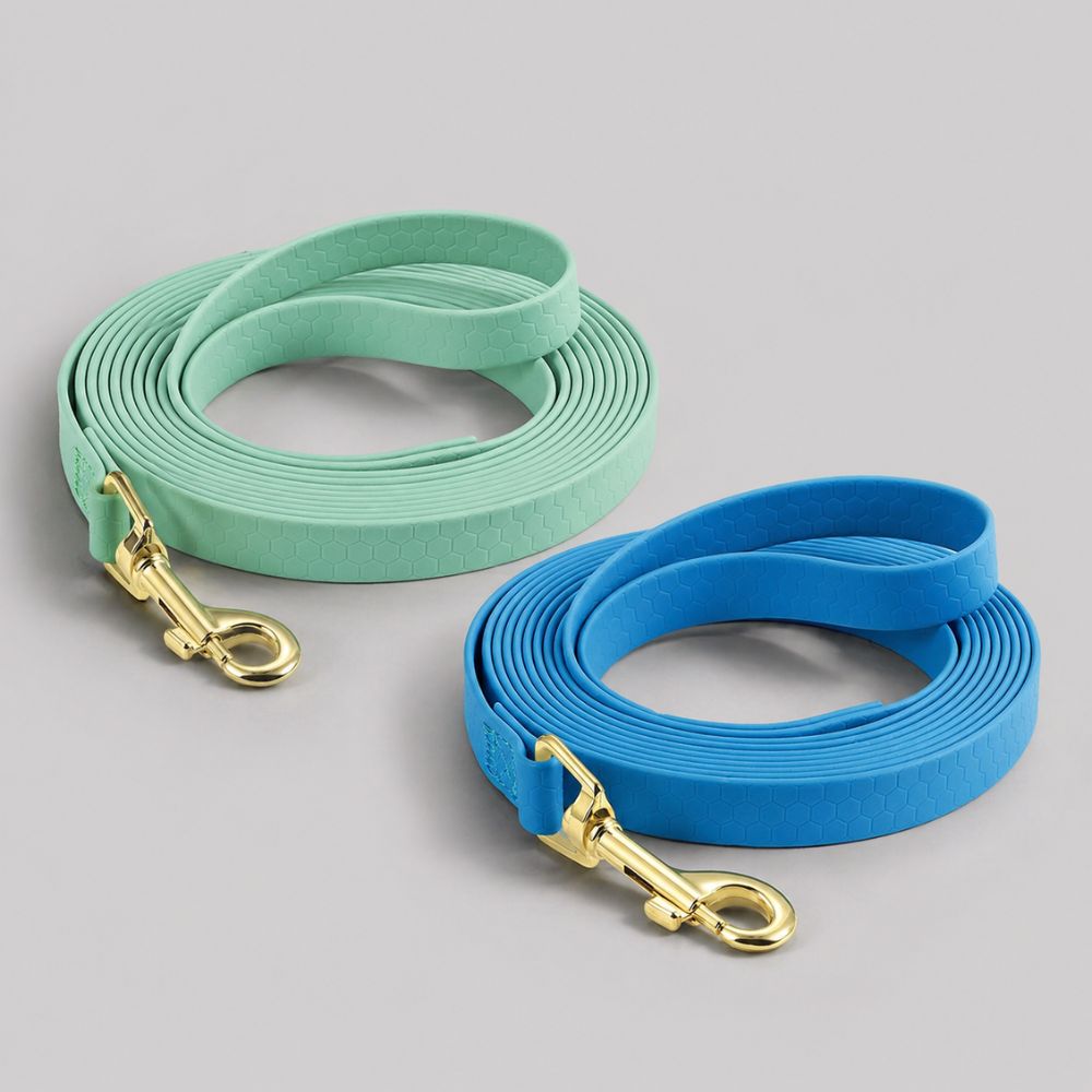longe chien disponible en bleu et vert menthe avec mousqueton doré robuste