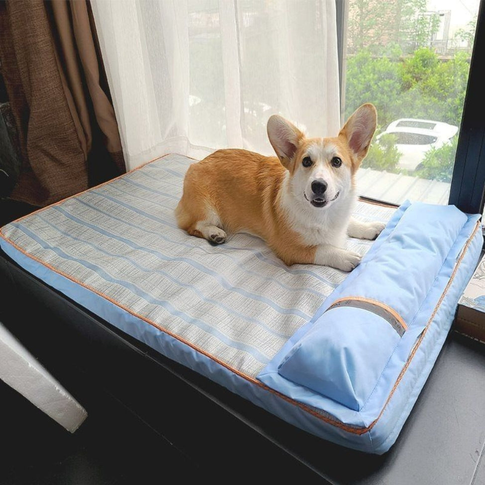 Corgi, soulagé sur matelas rafraichissant pour chien, pendant les fortes chaleurs estivales